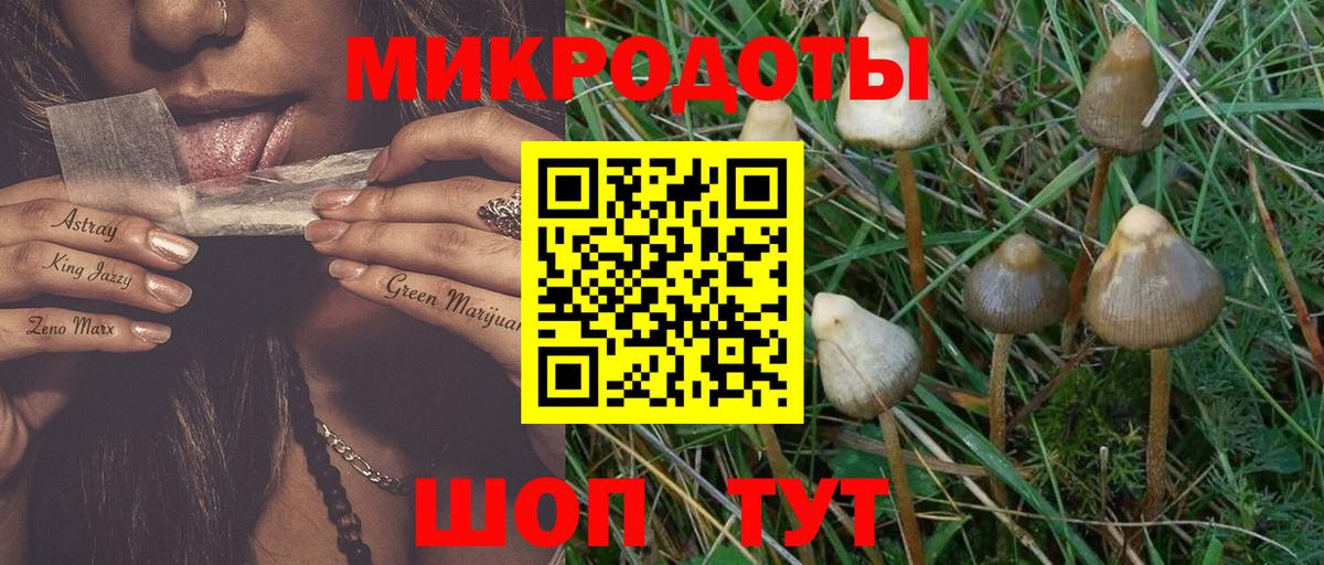 Тайшет  Галлюциногенные грибы Psilocybe  Галлюциногенные грибы Psilocybe  Вход с VPN 