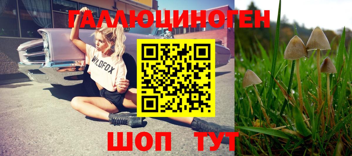 Галлюциногенные грибы GOLDEN TEACHER Тайшет